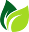 Buy Supplements | Natural Wellness | HealthSupplements.us