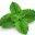 Herbal Software