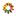 Heritage Camps For Adoptive Families | Colorado Family Camp