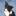 Hidden Valley Border Collies of Oregon