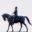 Horseadvice.com – An online horse care and health guide