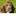 English Springer Spaniels | hunting dogs