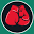 IBO | International Boxing Organization