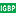 IGBP - IGBP