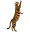 Imaginique Bengals