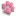 Dr. Karen Kelly DVM In Home Vet Care - Welcome