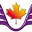 Innovative Wings Inc | Professional Aircraft Builders & Builder Assist Services