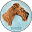 Irish Terrier von der Emsmühle | Top Class Irish Terrier – Made in Germany