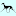 STUPOR MUNDI Italian Greyhounds