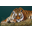 Jan Ferguson Fine Art wildlife art, pet portrait. wildlife prints and greeting cards in Hawick