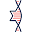 Norton & Elaine Sarnoff Center for Jewish Genetics