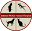 Homepage | Johnson-McKee Animal Hospital