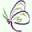 Judy Harrison: Life Coach for Women, Specializing in Divorce Transition