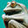 Jungle Drums Gallery Home | Jungle Drums Gallery