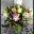 Just Flowers Online Florist – Email: justflowersjhb@gmail.com | Phone: 060 636 6939