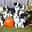 Performance Plus Australian Shepherds | ontario australian shepherd breeder | Ontario, Canada