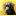 Karamar Labrador Retrievers - Pine Island, MN. Breeder of English style chocolate Labradors