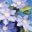 Kay Burton Creative Artist Instant download cards & prints,Textiles