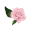 Online Floristry Training: Design & Business | Kay's Flower School.
