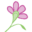 Flower Preservation for Weddings & Funerals | Keepsake Floral