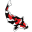 Koi Society of Western Australia