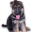 German Shepherd Breeders in Michigan | Puppies for Sale