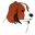 Vereniging Het Nederlandse Kooikerhondje