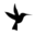 KVNF - Homepage