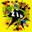 Comic book Strip books and graphic novels online and physical store
