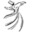 Les Arts Turcs – Turkish Cultural Center and Workshops, Online Shopping