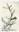 Lindy Cook Severns Art | Shop Art