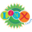 LINX Camps | Fun and Variety! Make Every Summer Special. | Wellesley, MA