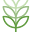 LivClean | Verified Carbon Offsets Nature-Based Going | Carbon Neutral