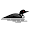 Home | Loons Point RV Park & Campground | Michigan Campground