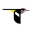 Macaulay Library – A scientific archive for research, education, and conservation, powered by you