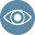 The American Macular Degeneration Foundation (AMDF)