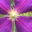 Maggie Turner Page by Page – Canadian Online Personal Journal since 1999