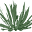 Maguey Weaves