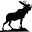 Maine Antler Art | Moose Antler Home Accessories