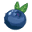 Blueberry Farm | Orchard | Cafe NZ | Mamaku Blue