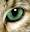 Marechal Cattery