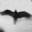 Mark Tweedie | Photogravure | Pinhole Photography