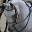Boarding, Horse Riding Lessons | United States | Mayhem Farm, LLC