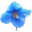 Meconopsis.org – Seeding The Web