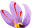 Coming Soon - Mehr Saffron