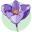 Manitoba Master Gardener Association