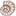 Micropaleontology Press