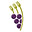 Midwest Winefest | wine festival | Old Town, Wichita, KS, USA