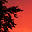millennium artists  ~  web design, photography, surveillance systems