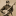 Hartel Minstrel banjo